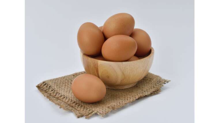 Descubra como o ovo tem colágeno e quais são seus benefícios!